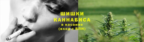 прущие грибы Нязепетровск