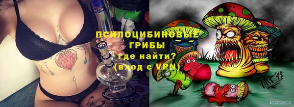 ешки Алзамай