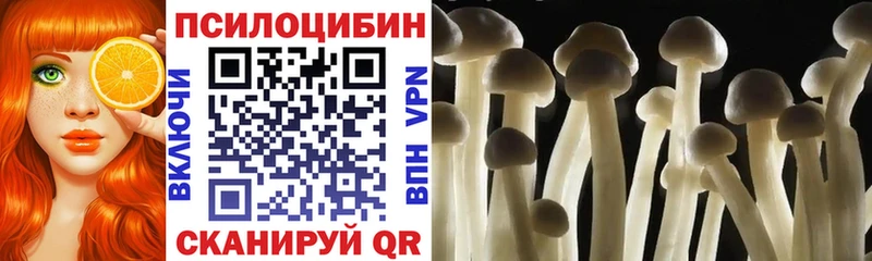 Галлюциногенные грибы прущие грибы  Саранск 