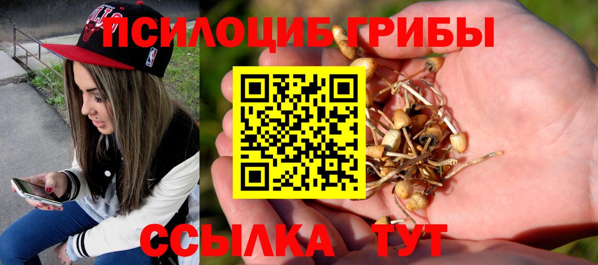 Псилоцибиновые грибы прущие грибы Саранск