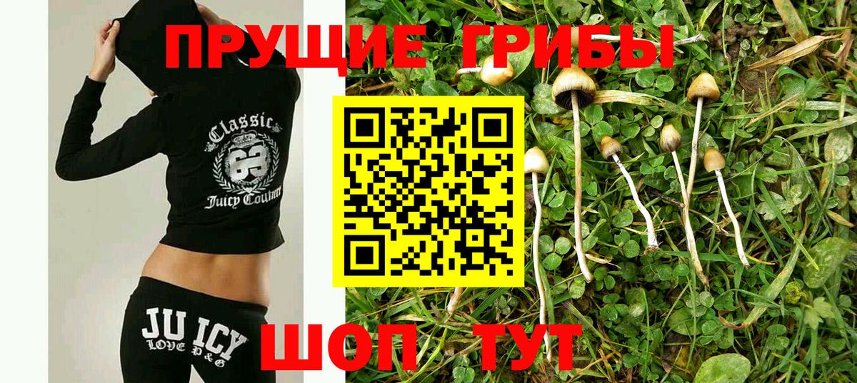 цена наркотик  Галлюциногенные грибы мицелий  Вход с VPN  Саранск 